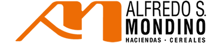 Mondino